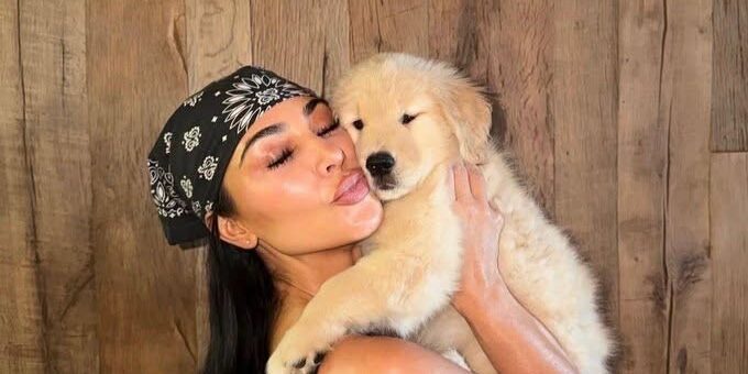 Kim Dog